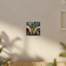 Load image into Gallery viewer, Potted Plant -Textured Watercolor Matte Posters