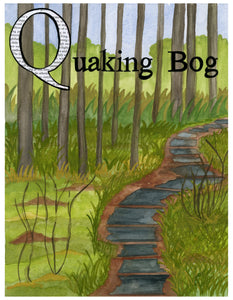 Q is for Quaking Bog
